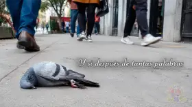 Rubén Quiroz reivindica a Vallejo y la memoria cultural peruana