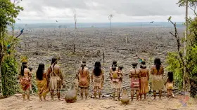 Sociedad civil lidera la defensa ambiental frente a la Transamazónica