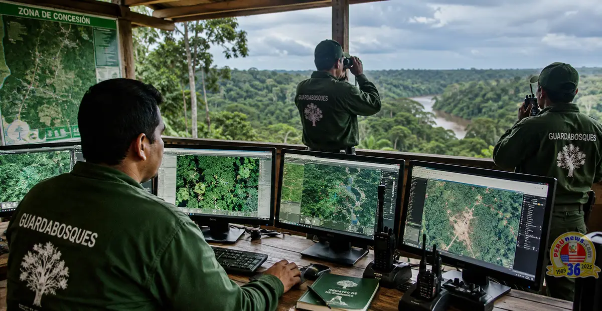 Amazonia en alerta: tecnología y patrullas anticipan ataques al bosque