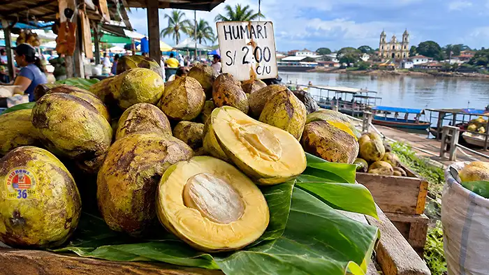 Humarí, la mantequilla vegetal de la selva, enfrenta un futuro incierto